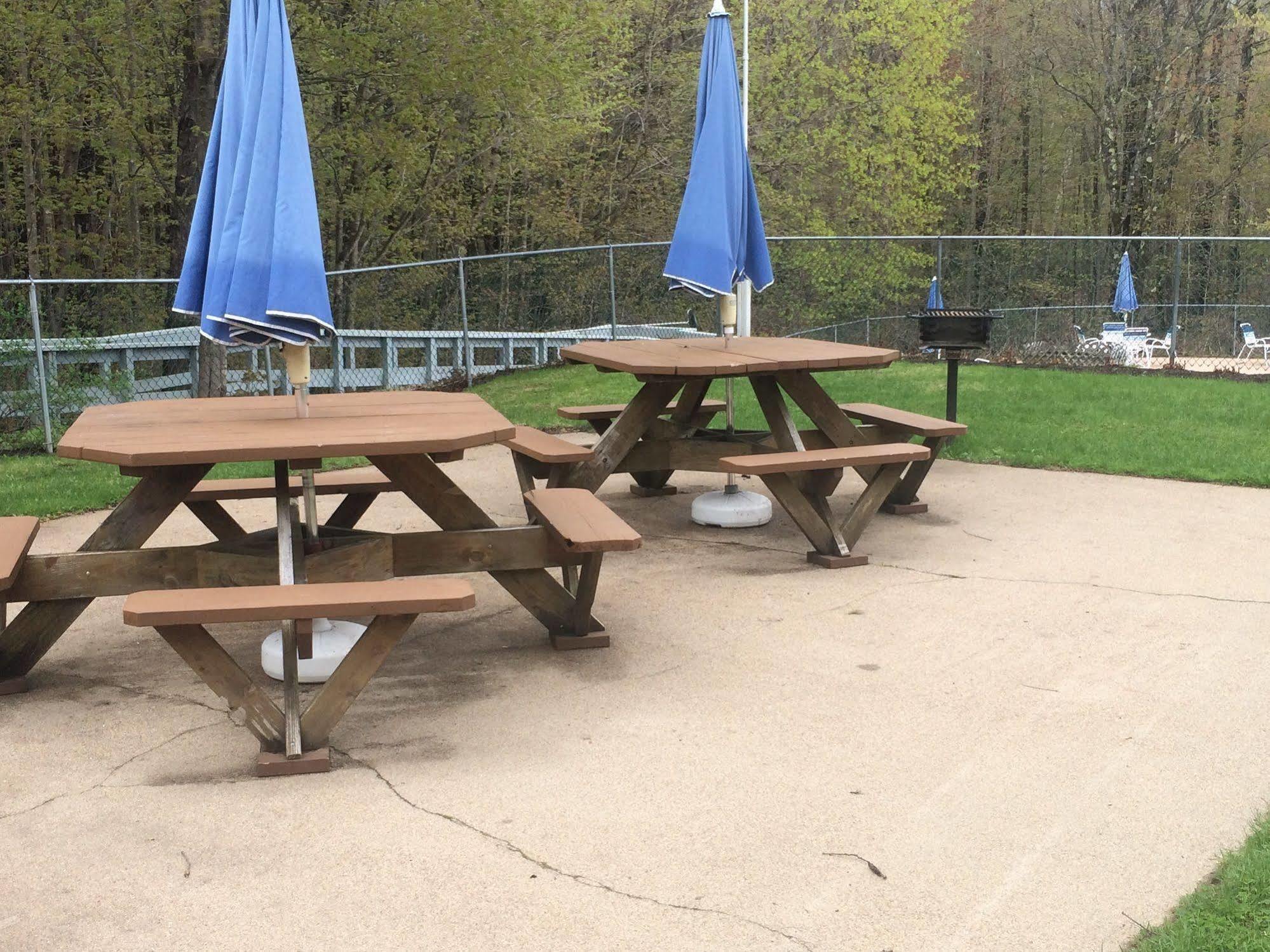 נורת' קונוויי Forest Glen Inn מראה חיצוני תמונה